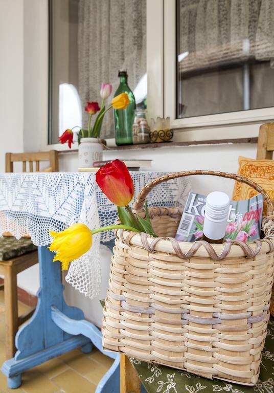 Emese Vendeghaz Noszvaj Hotel Bagian luar foto